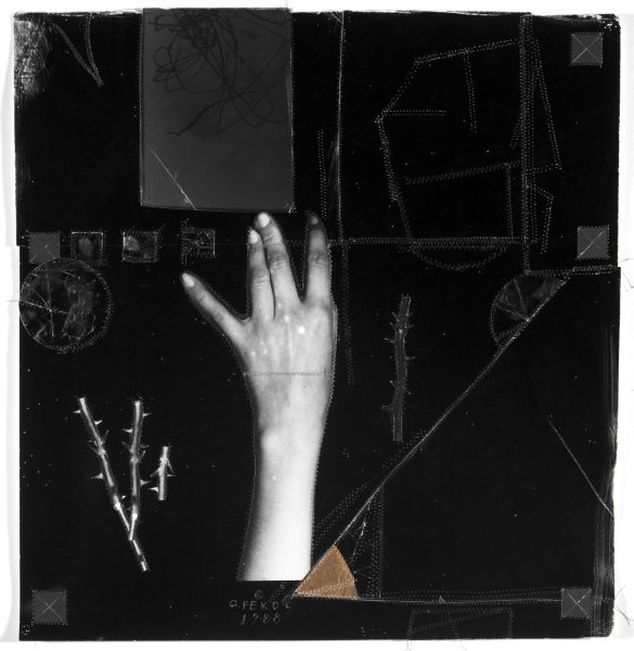 Untitled (Melissa's Hand and Thorns)
