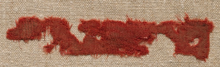 Wool Fragment