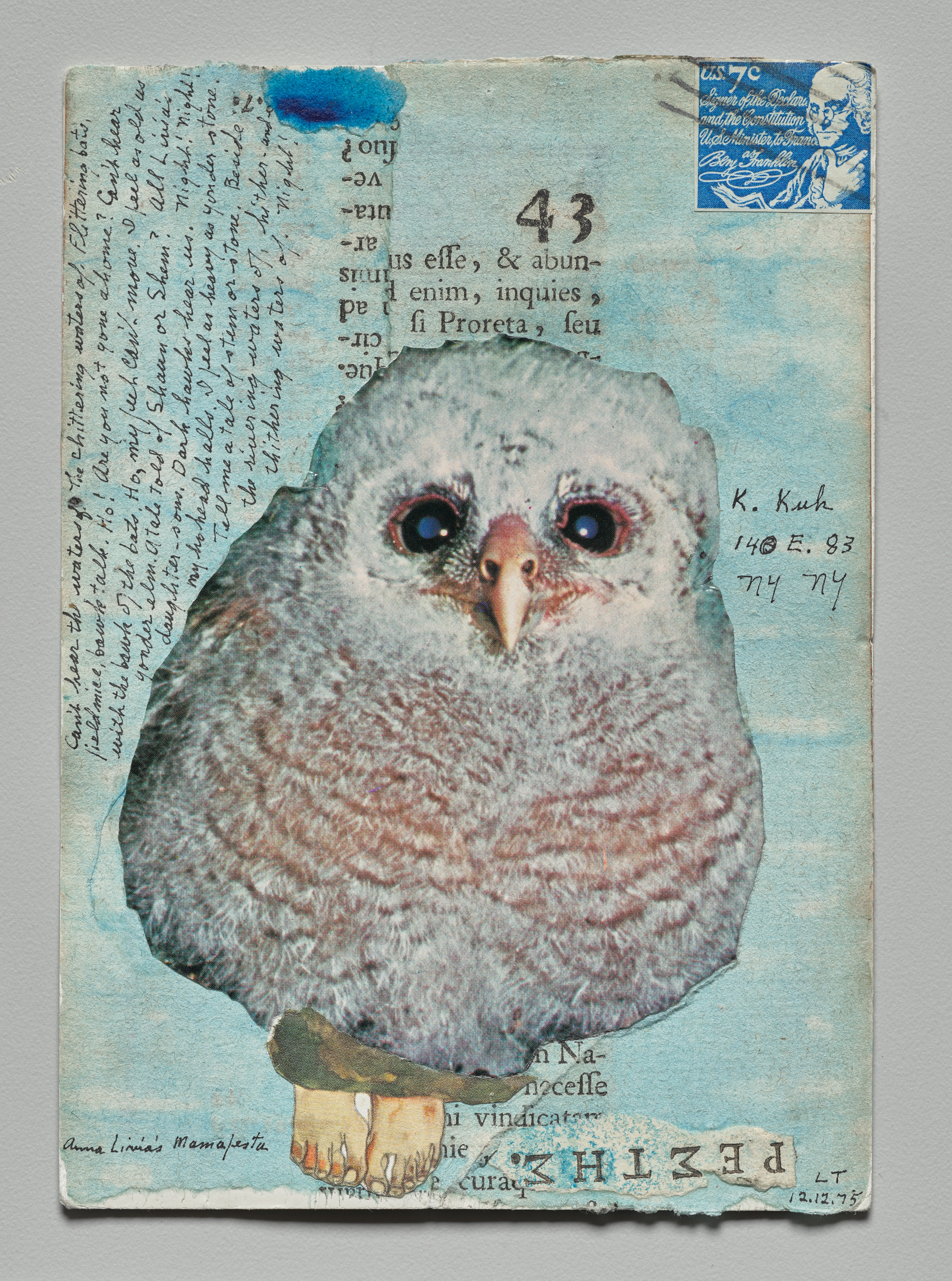 Owl 43 (recto)