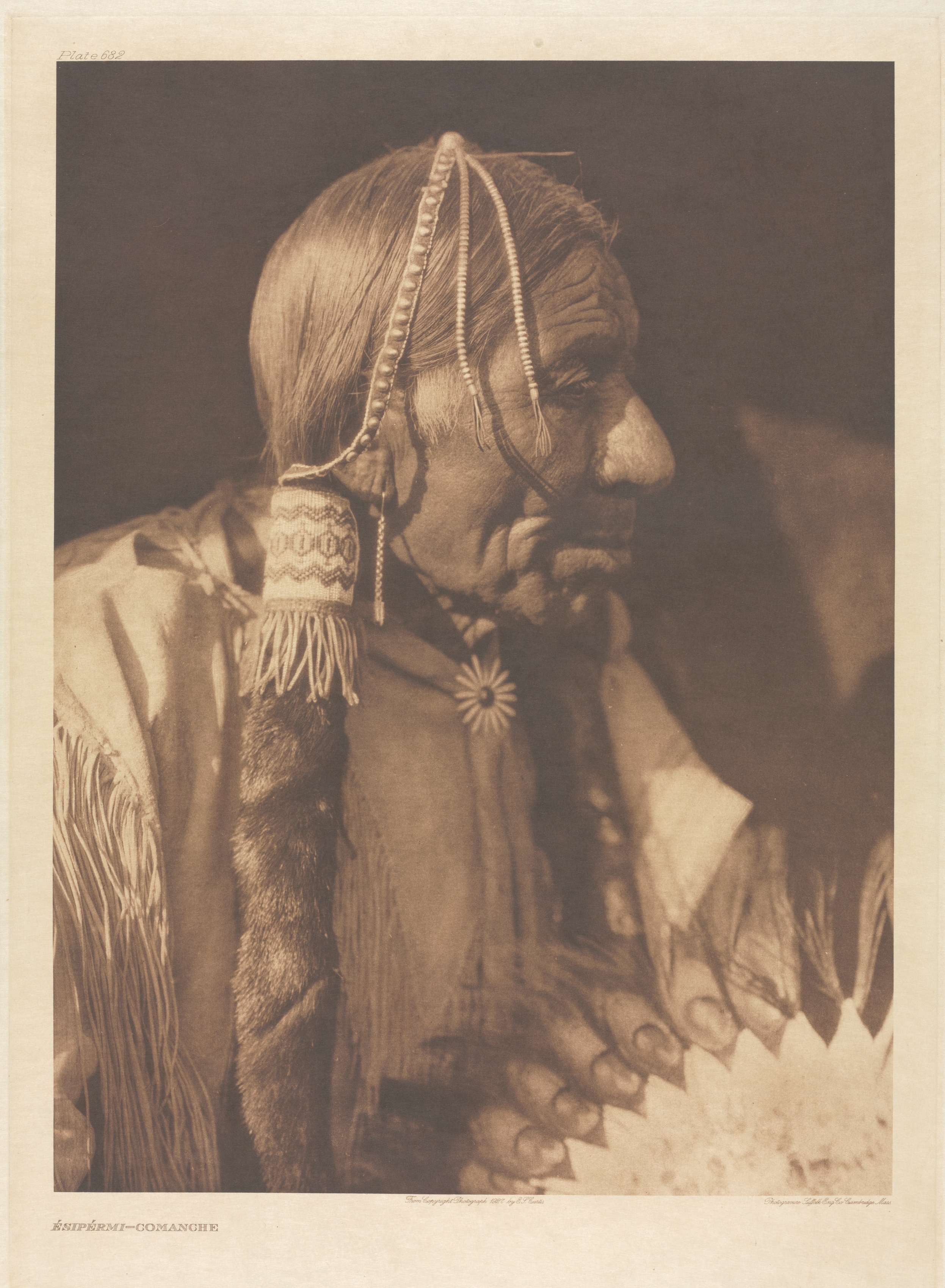 Portfolio XIX, Plate 682: Ésipérmi - Comanche