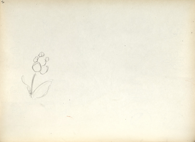 Sketchbook #1: Flower (page 64)