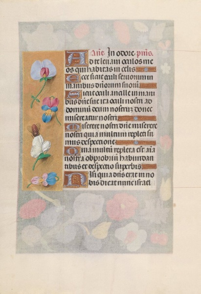 Hours of Queen Isabella the Catholic, Queen of Spain:  Fol. 137v