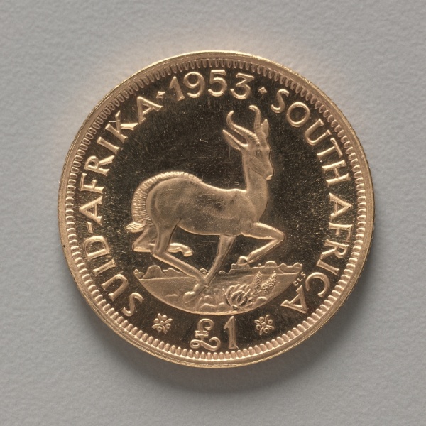 Pound: A Springbok (reverse)