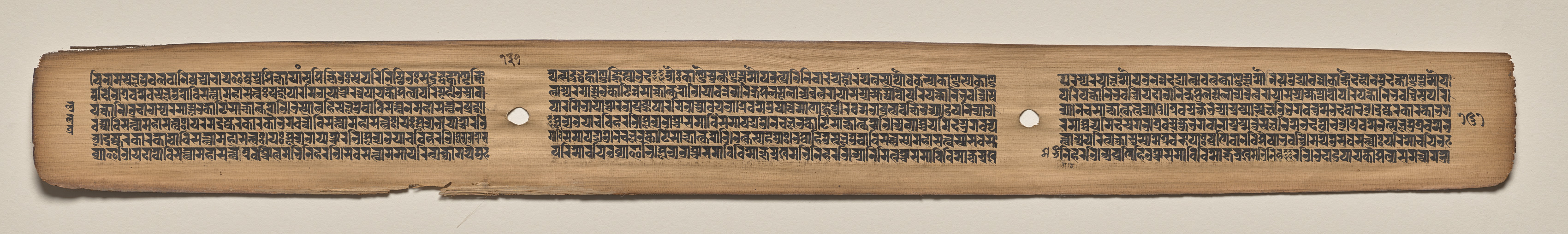 Text, Folio 131 (verso), from a Manuscript of the Perfection of Wisdom in Eight Thousand Lines (Ashtasahasrika Prajnaparamita-sutra)