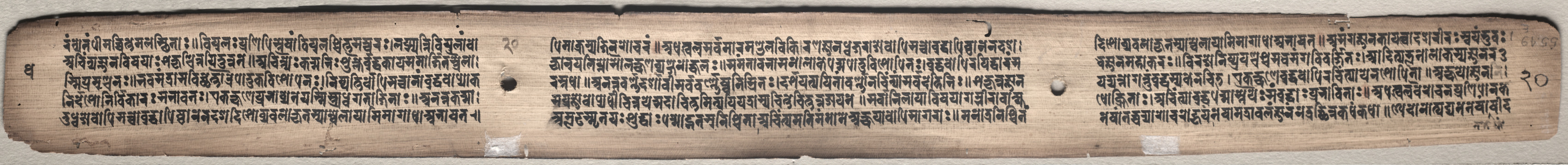 Text, folio 20 (verso) from a Gandavyuha-sutra (Scripture of the Supreme Array)