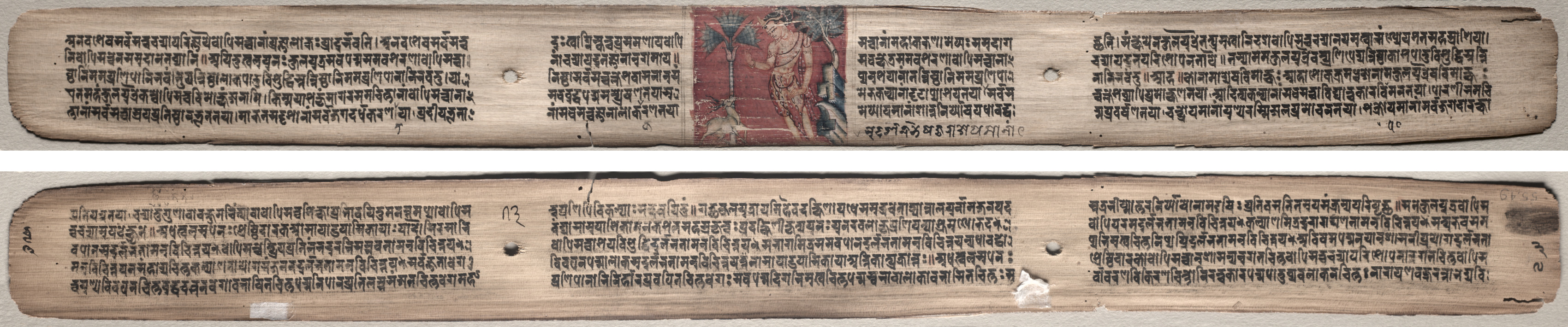 Folio 73 from a Gandavyuha-sutra (Scripture of the Supreme Array): Sudhana and an antelope (recto); text (verso)