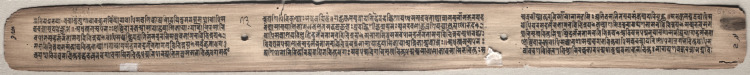 Text, folio 73 (verso) from a Gandavyuha-sutra (Scripture of the Supreme Array)