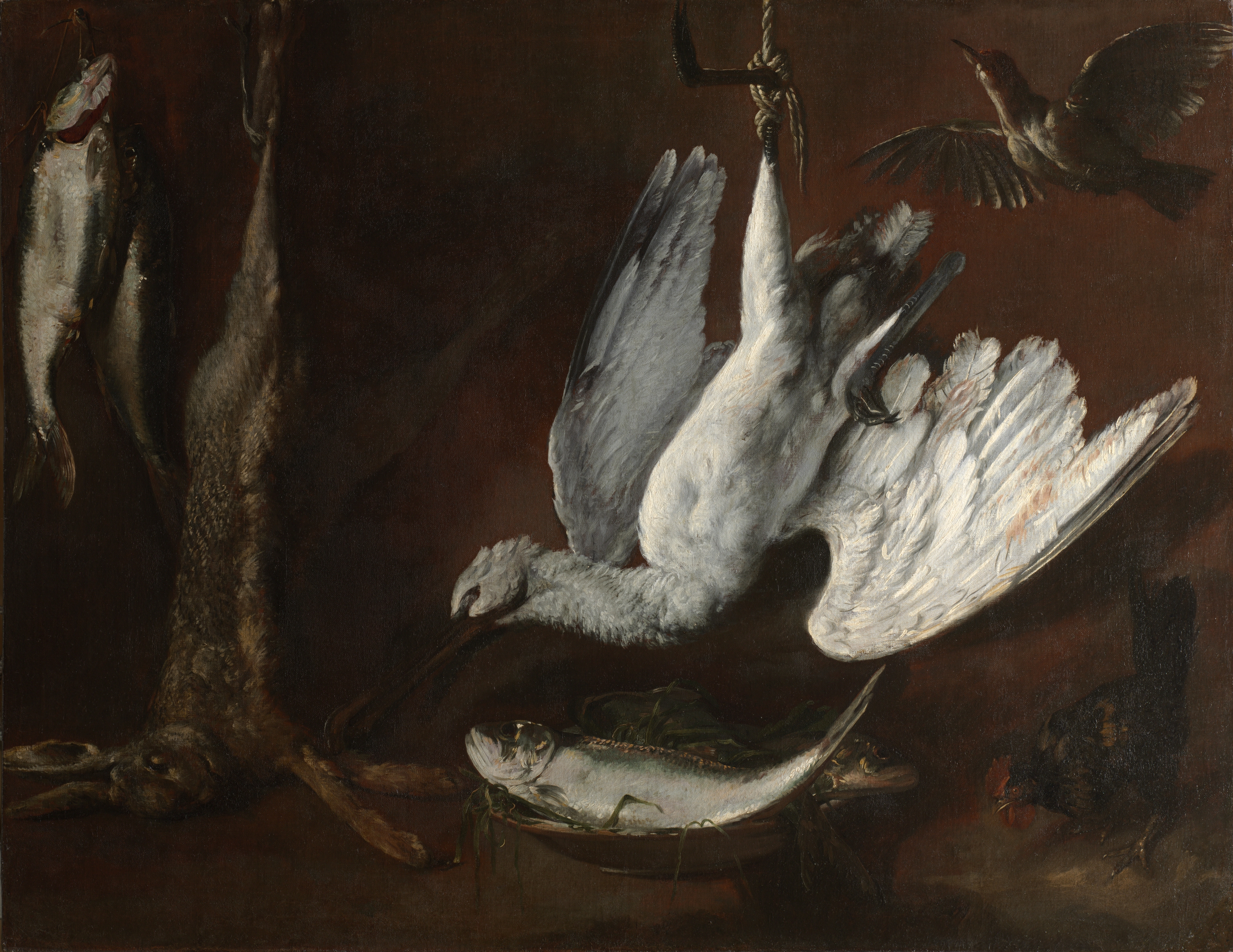 Hare, Spoonbill, and Fish