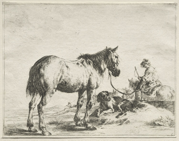 A Horse Fastened to a Stake