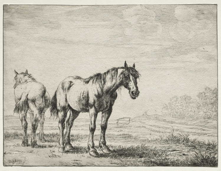 Two plough horses