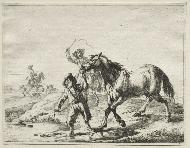 A boy taking a horse to drink