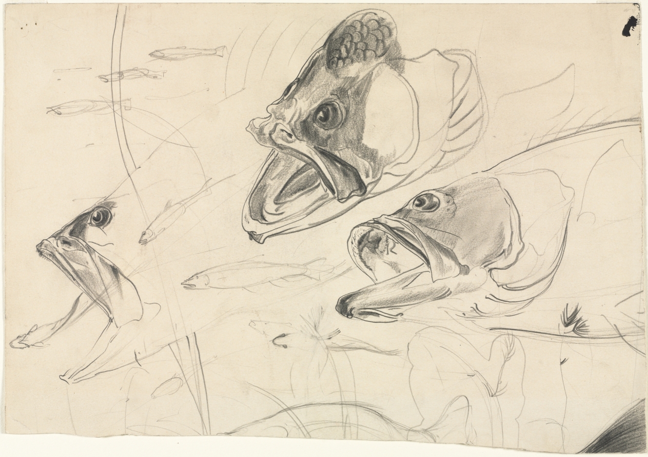 Study for "Black Bass and Minnows", Paul B. Travis, 1925