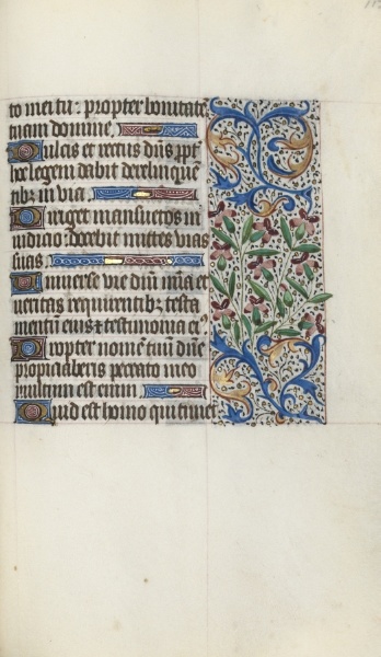 Book of Hours (Use of Rouen): fol. 119r