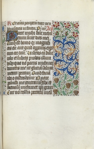 Book of Hours (Use of Rouen): fol. 115r