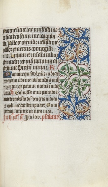 Book of Hours (Use of Rouen): fol. 117r