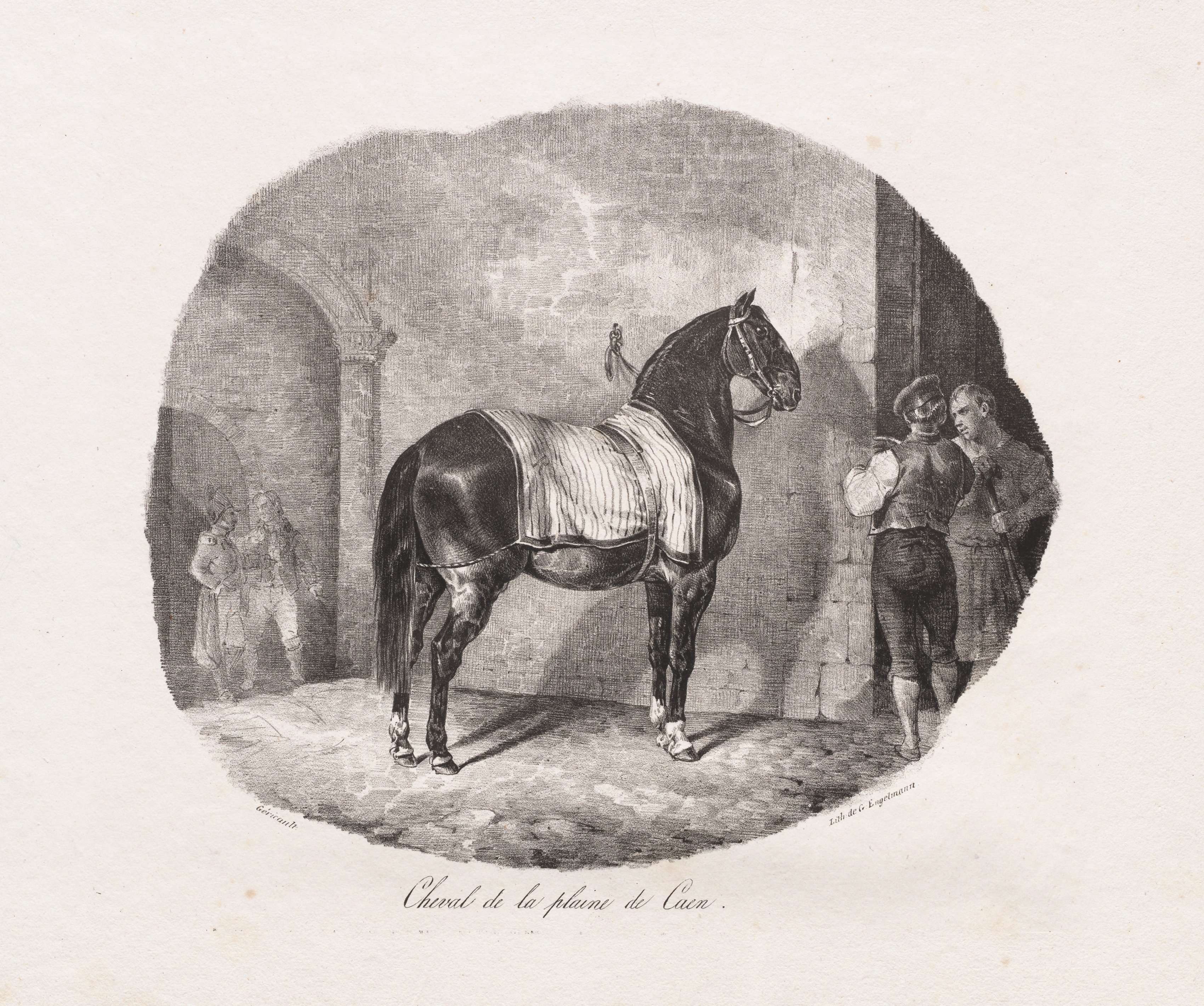 Lithographed Studies of Horses: Pl. 7, Horse from the Caen Plain 
