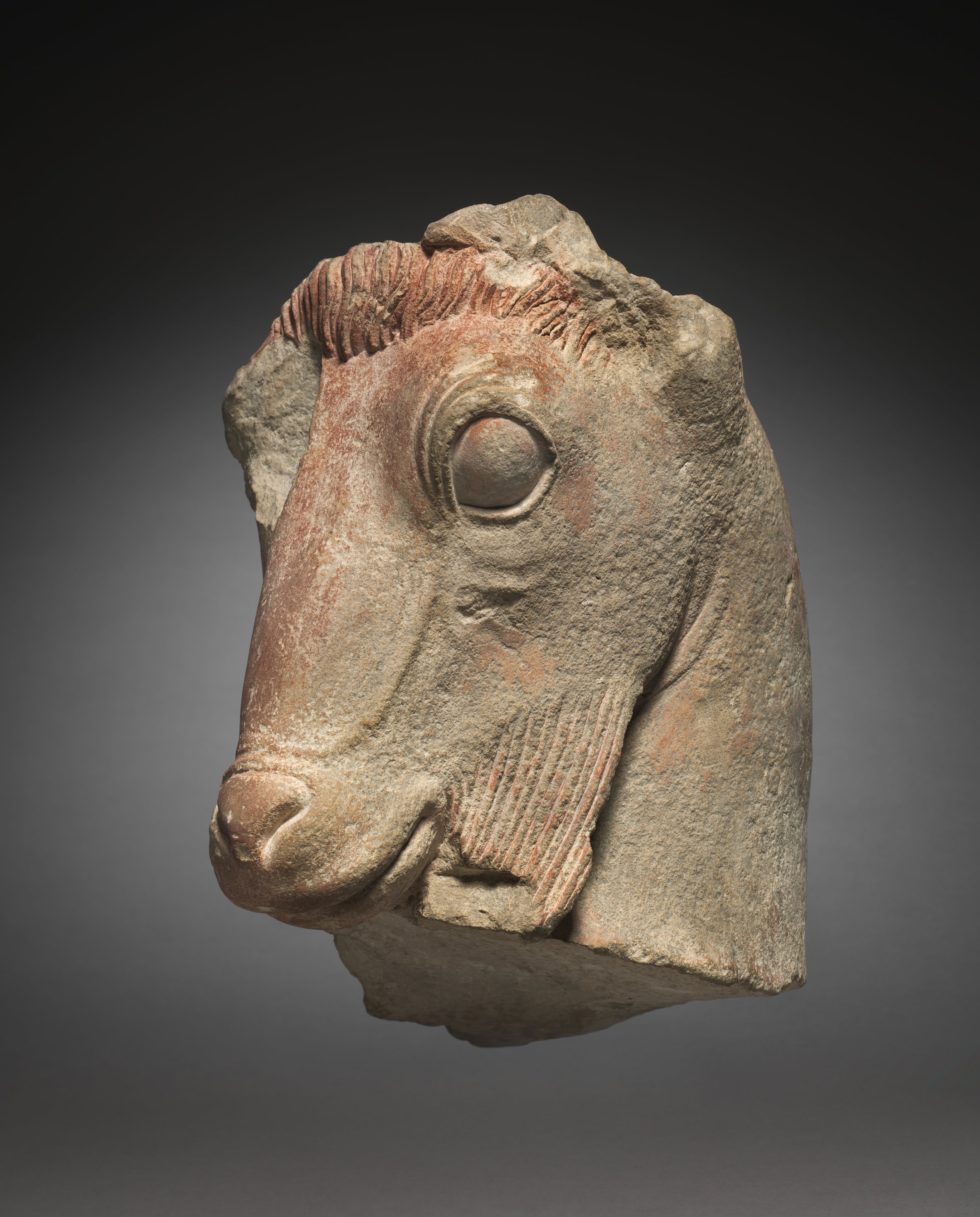 Fragment of a Goat's Head