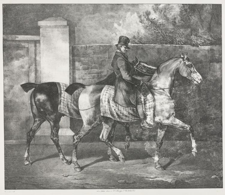 Two Horses Exercised by a Jockey
