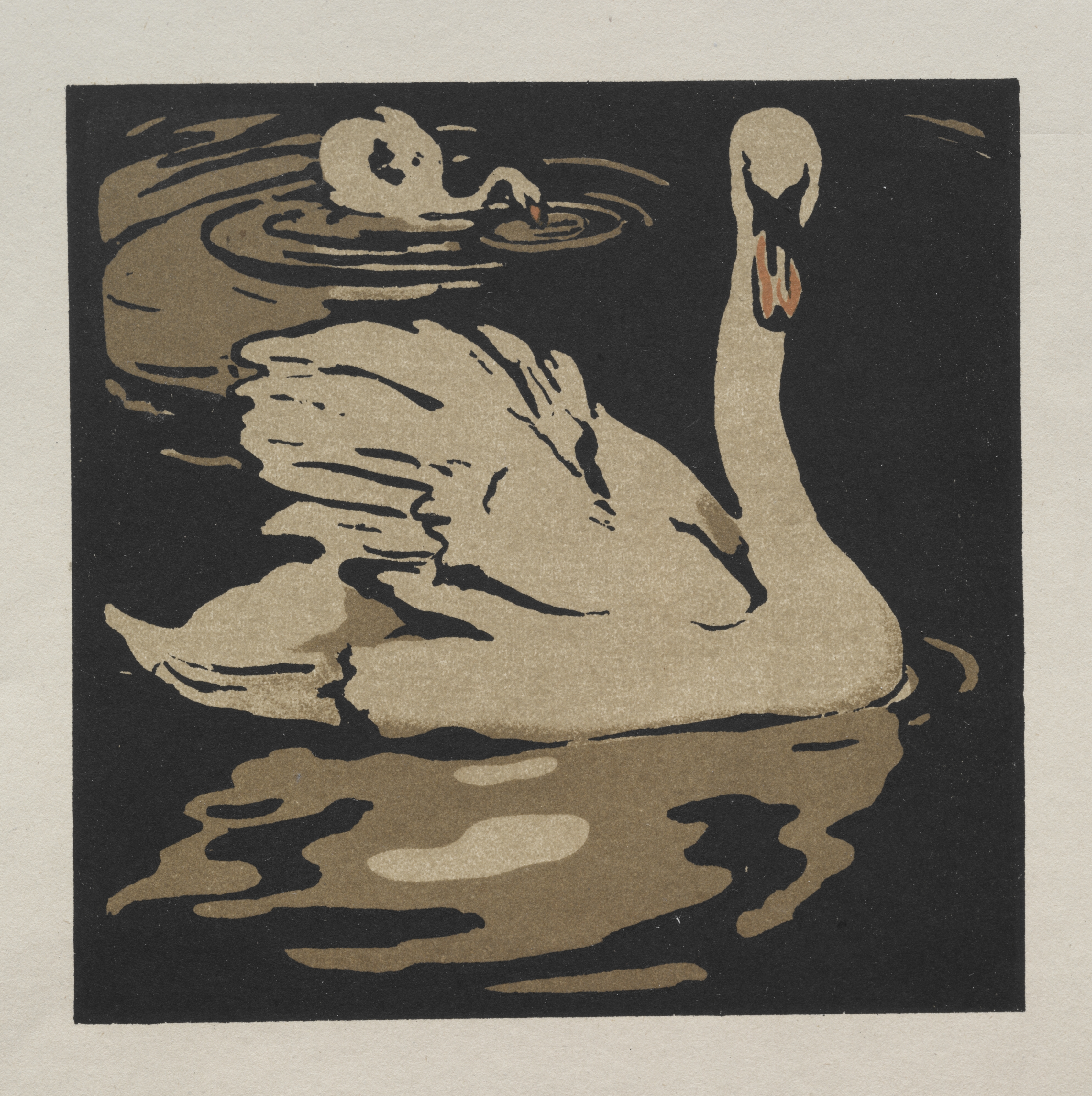 The Square Book of Animals: The Beautiful Swan