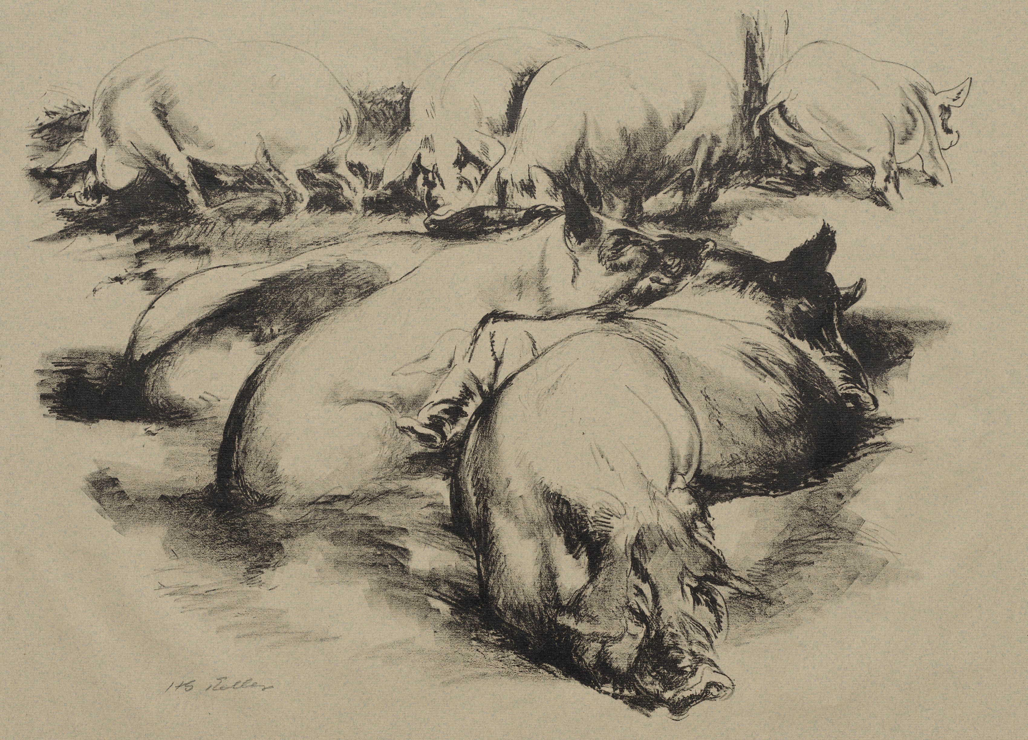 Pigs, Composition No. 2