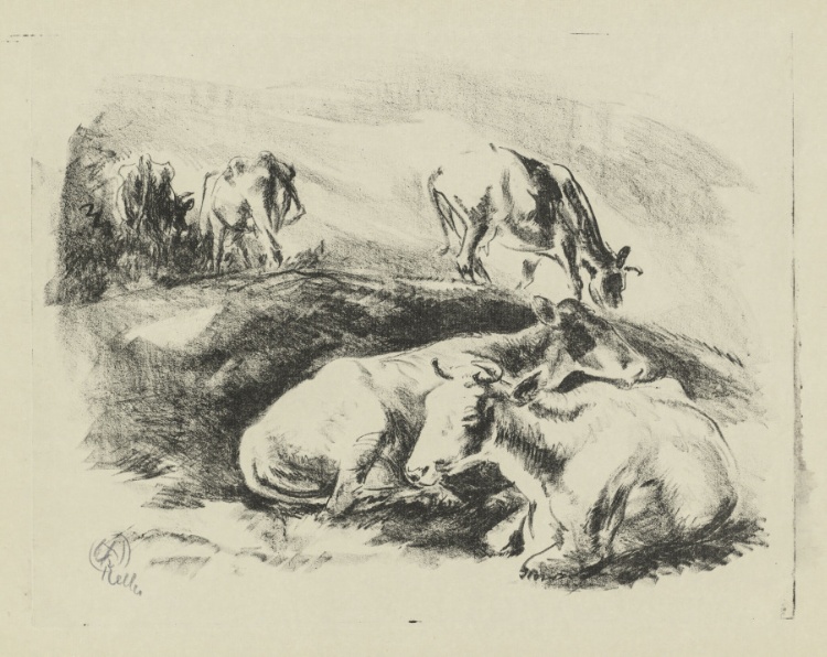 Cows, Evening