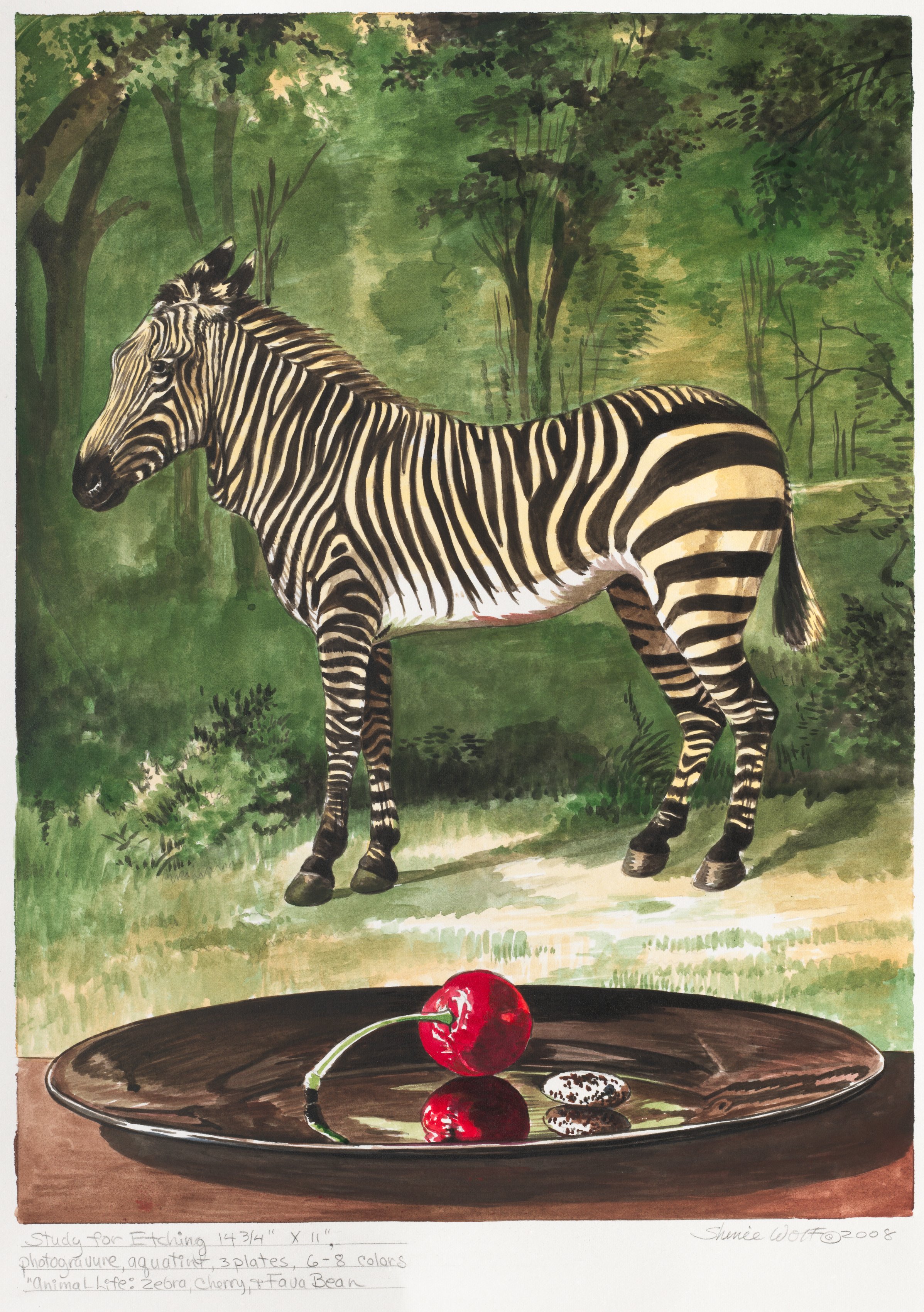 Animal Life: Zebra with Cherry and Fava Bean