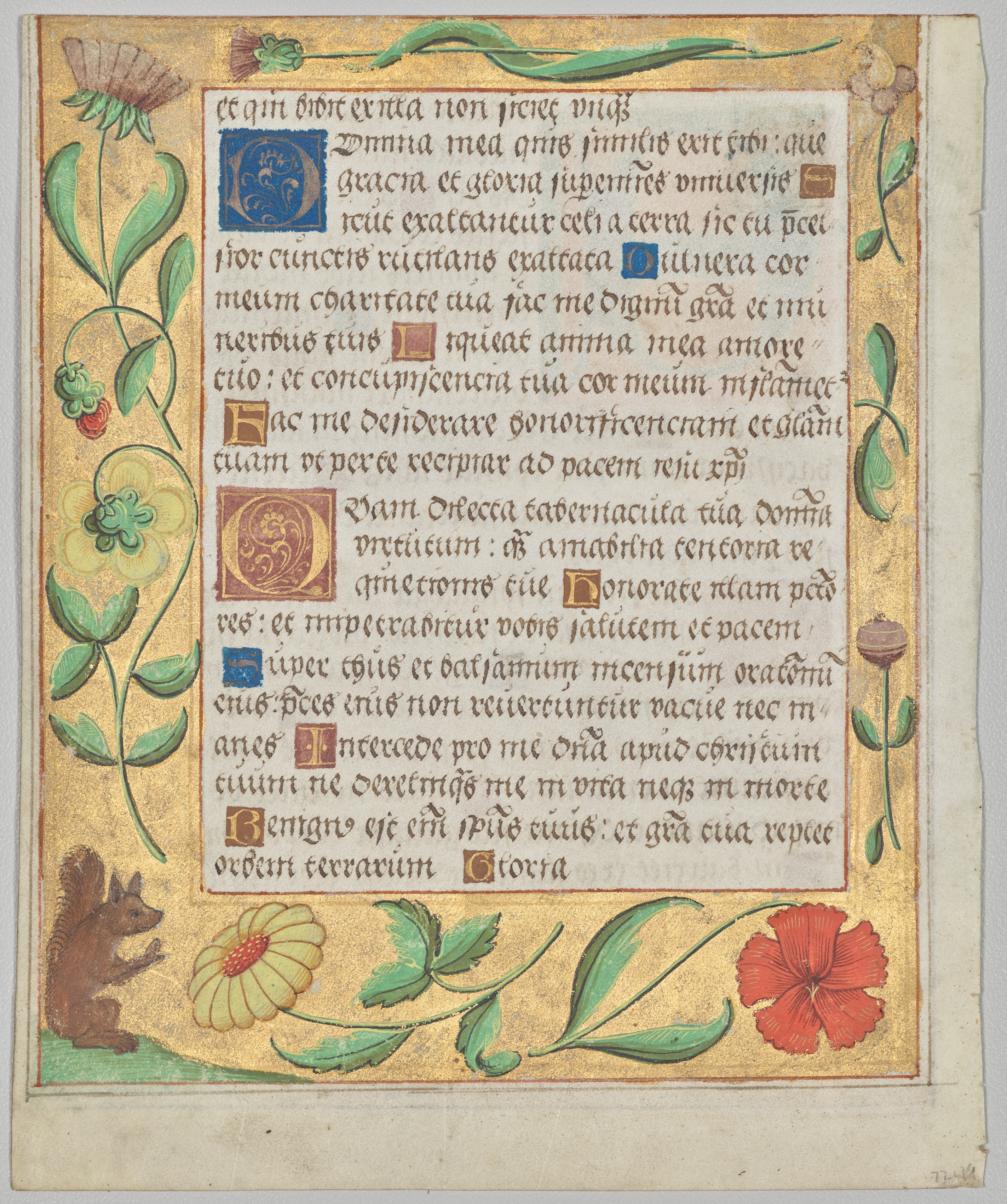 Leaf from a Psalter and Prayerbook: Ornamental Border with Flowers and Squirrel (verso)