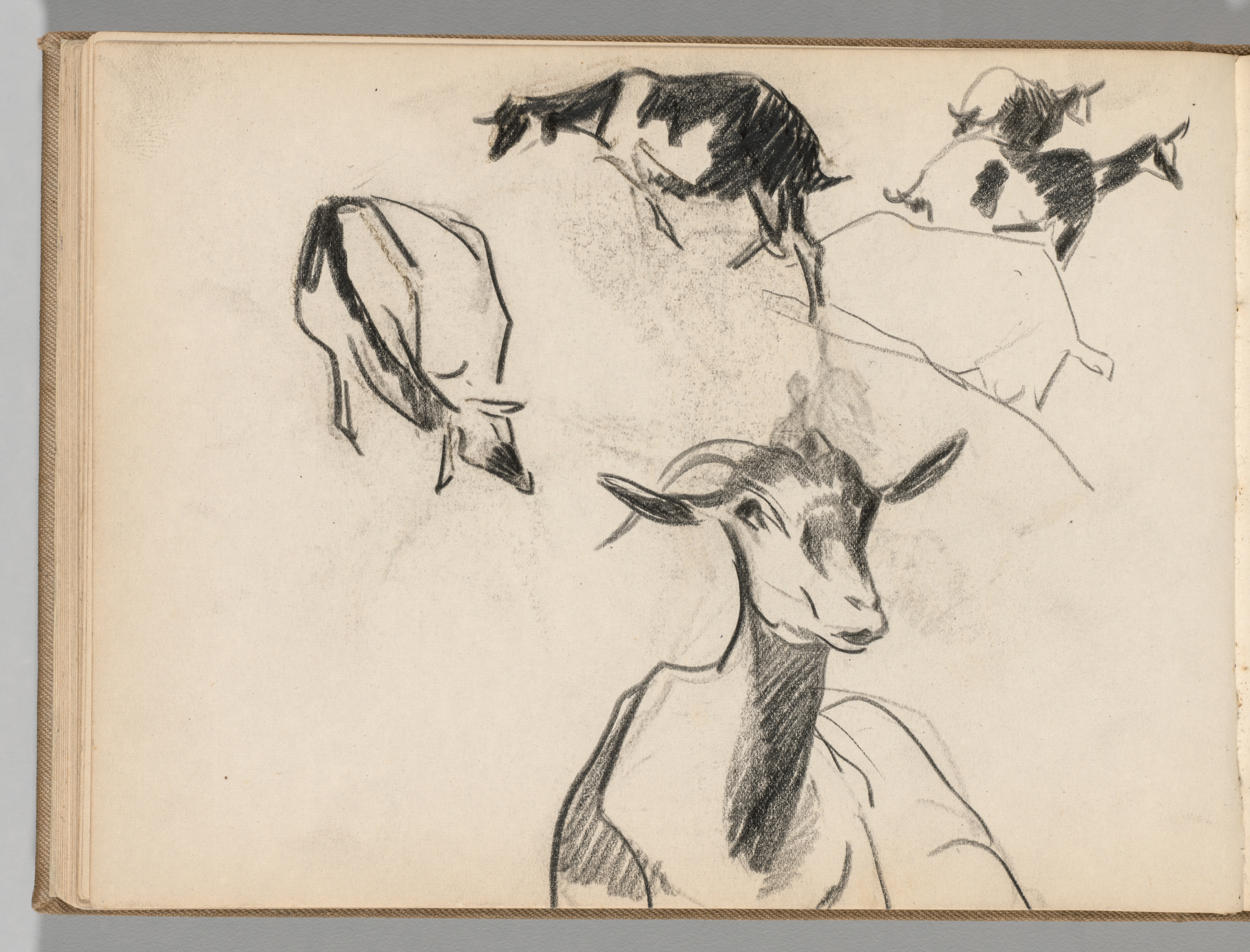 Sketchbook, Spain: Page 54, Studies of Goats