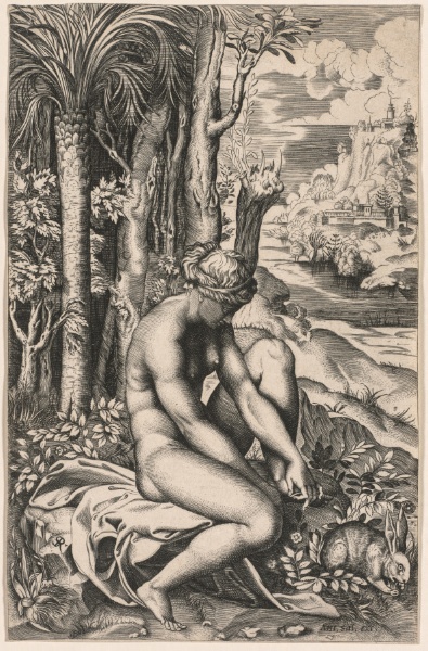 Venus Wounded by a Rose's Thorn