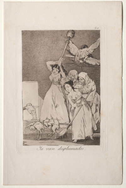 There They Go Plucked, Plate 20