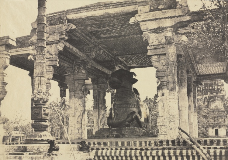 Great Pagoda, Great Bull, Front View, Tanjore, India (Rajarajesvara Temple)