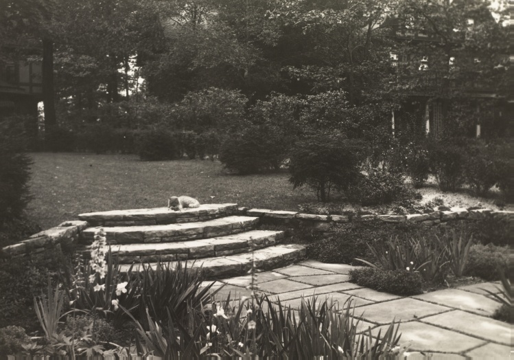 Untitled (Garden of Mrs. Homer H. Johnson)