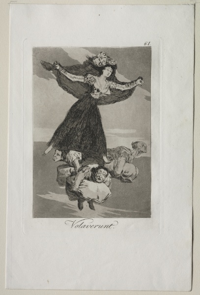 They Have Flown, Plate 61