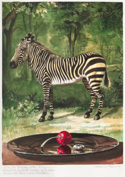 Animal Life: Zebra with Cherry and Fava Bean