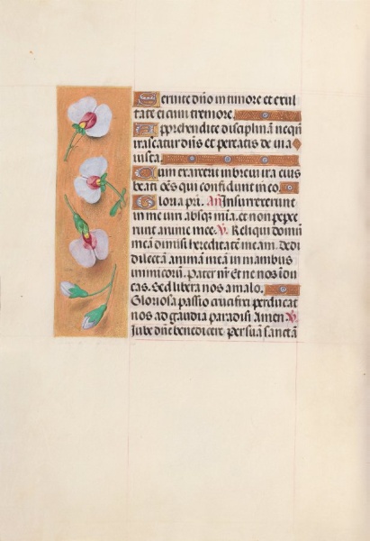 Hours of Queen Isabella the Catholic, Queen of Spain:  Fol. 53v