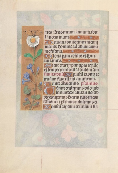 Hours of Queen Isabella the Catholic, Queen of Spain:  Fol. 50v
