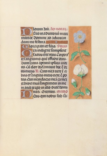 Hours of Queen Isabella the Catholic, Queen of Spain:  Fol. 47r