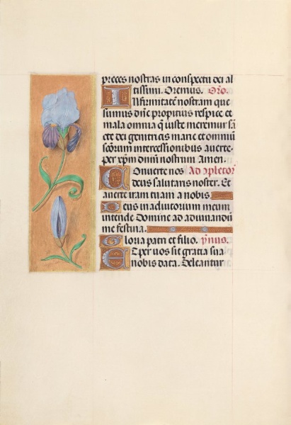 Hours of Queen Isabella the Catholic, Queen of Spain:  Fol. 41v