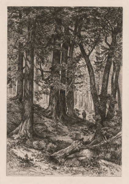 Interior of a California Forest (after Thomas Moran (American, 1837-1926)),