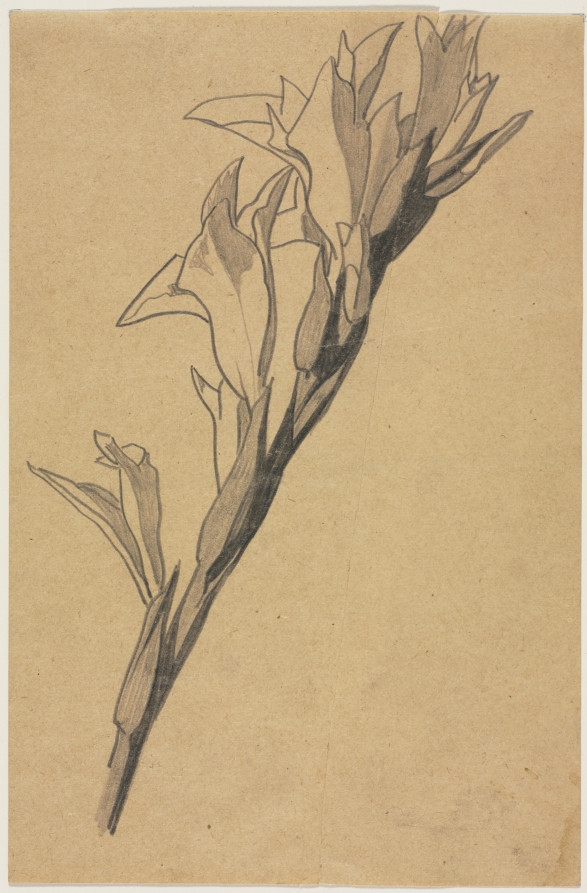 Flower Study, Henry Keller, c. 1891–1949