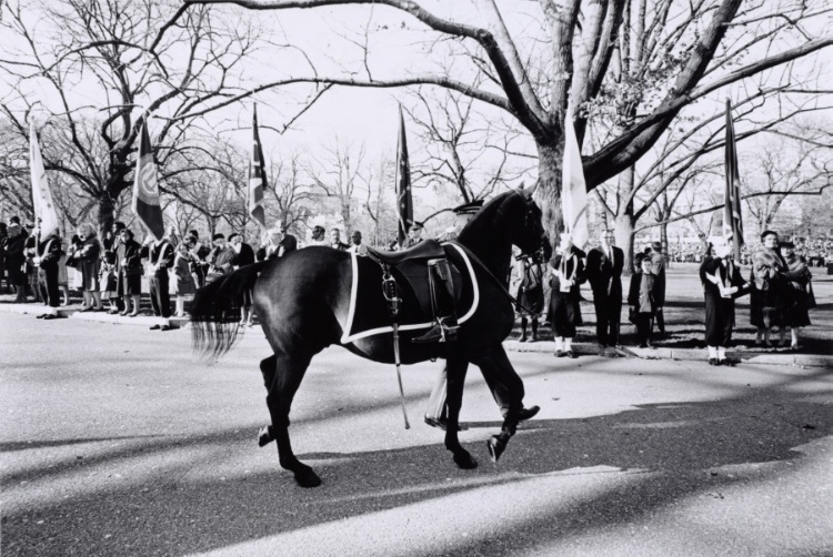 People Holding Flags and a Horse at President John F. Kennedy's funeral