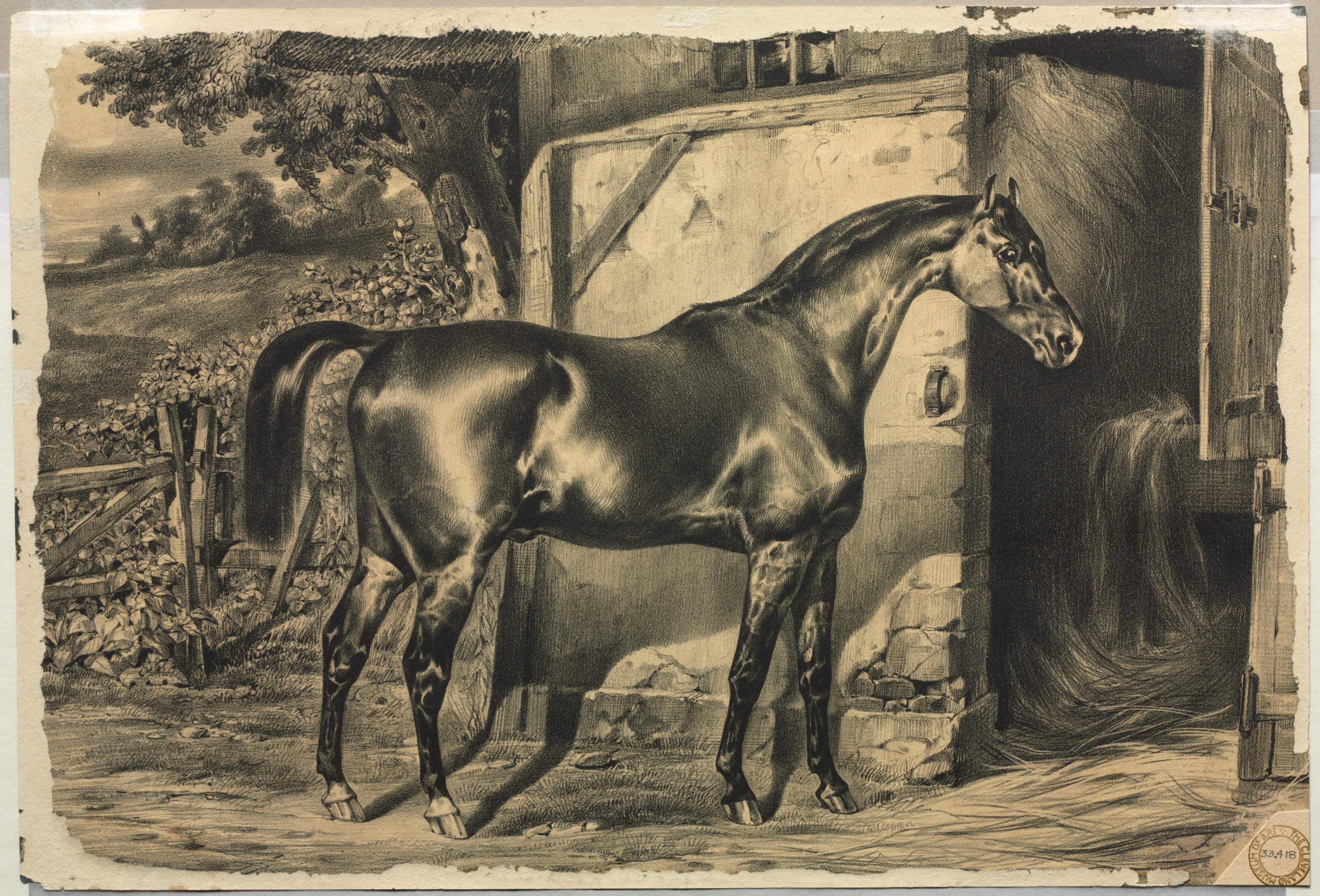 Horse in Front of a Barn (verso)