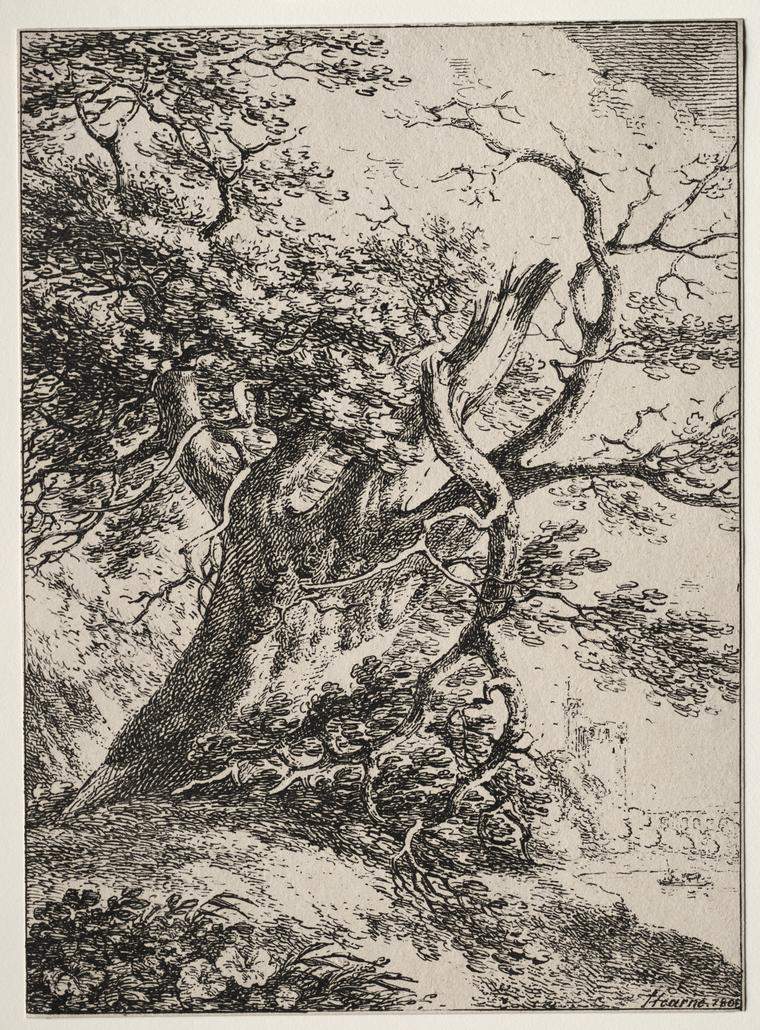 Specimens of Polyautography:  Landscape with an Oak Tree
