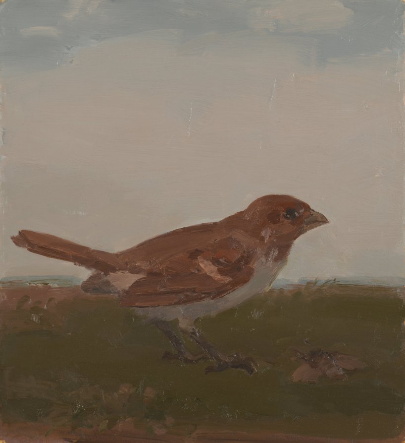 Bird with Dead Moth, Albert York, 1982