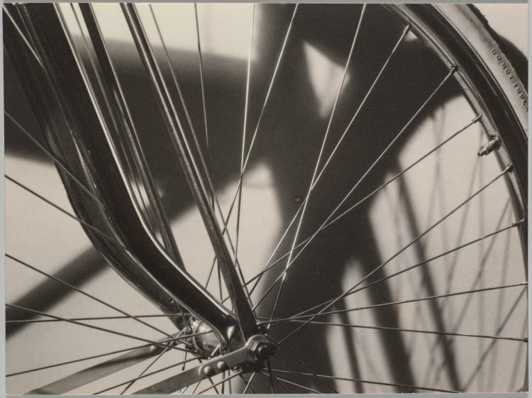 Still Life with Bicycle Wheel
