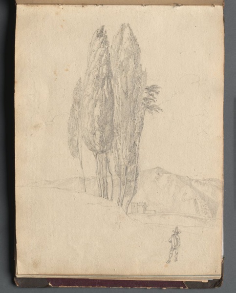 Album with Views of Rome and Surroundings, Landscape Studies, page 20a: Trees