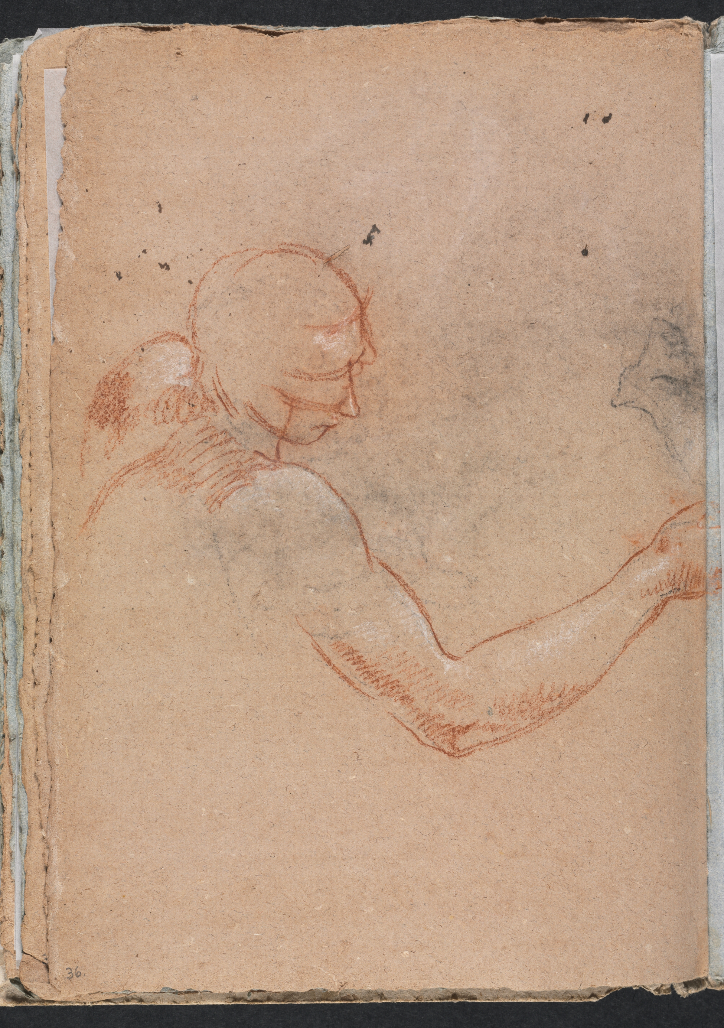 Verona Sketchbook: Nude with head and right arm (page 36)