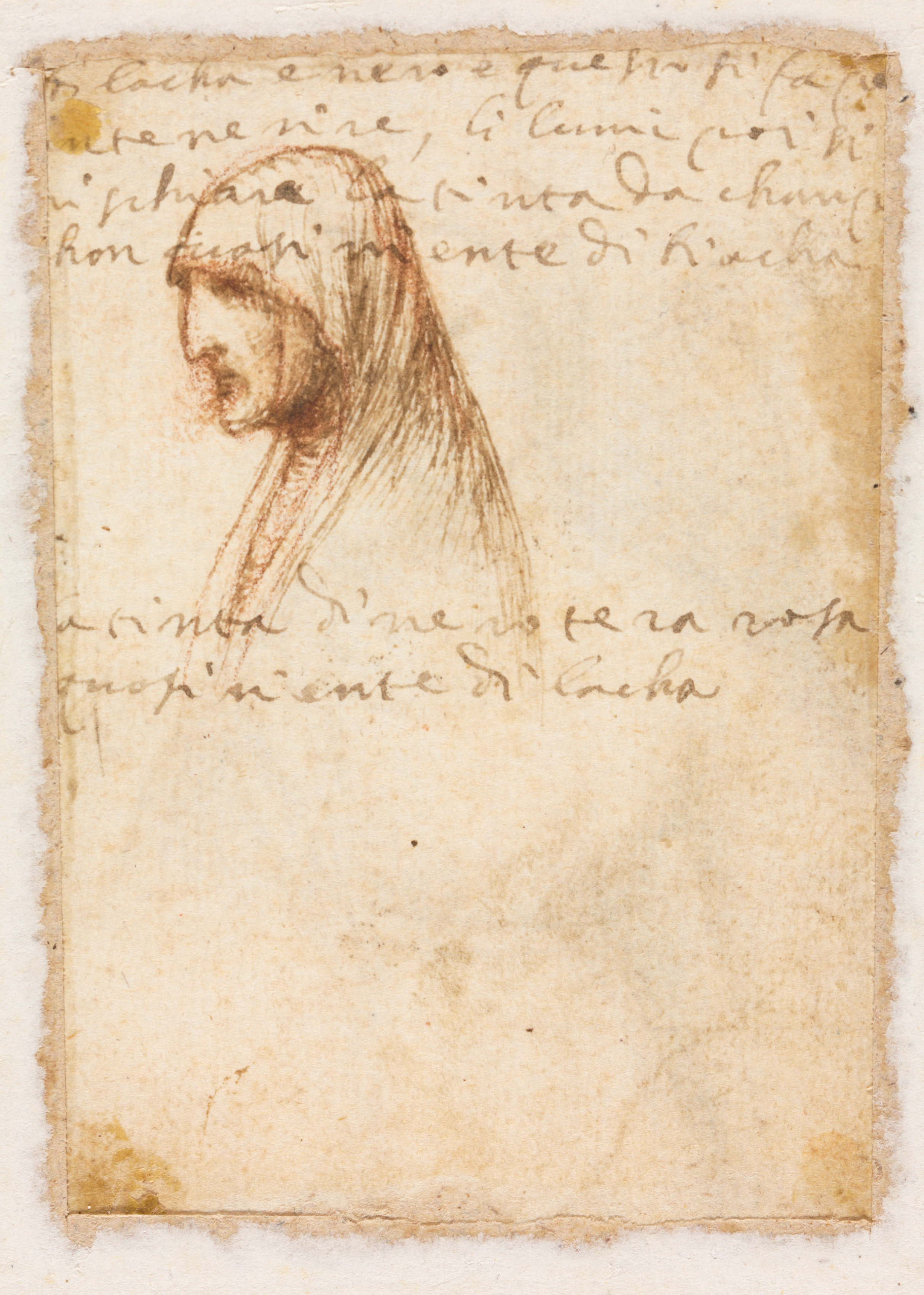 Bust-Length Profile of an Old Woman (verso)