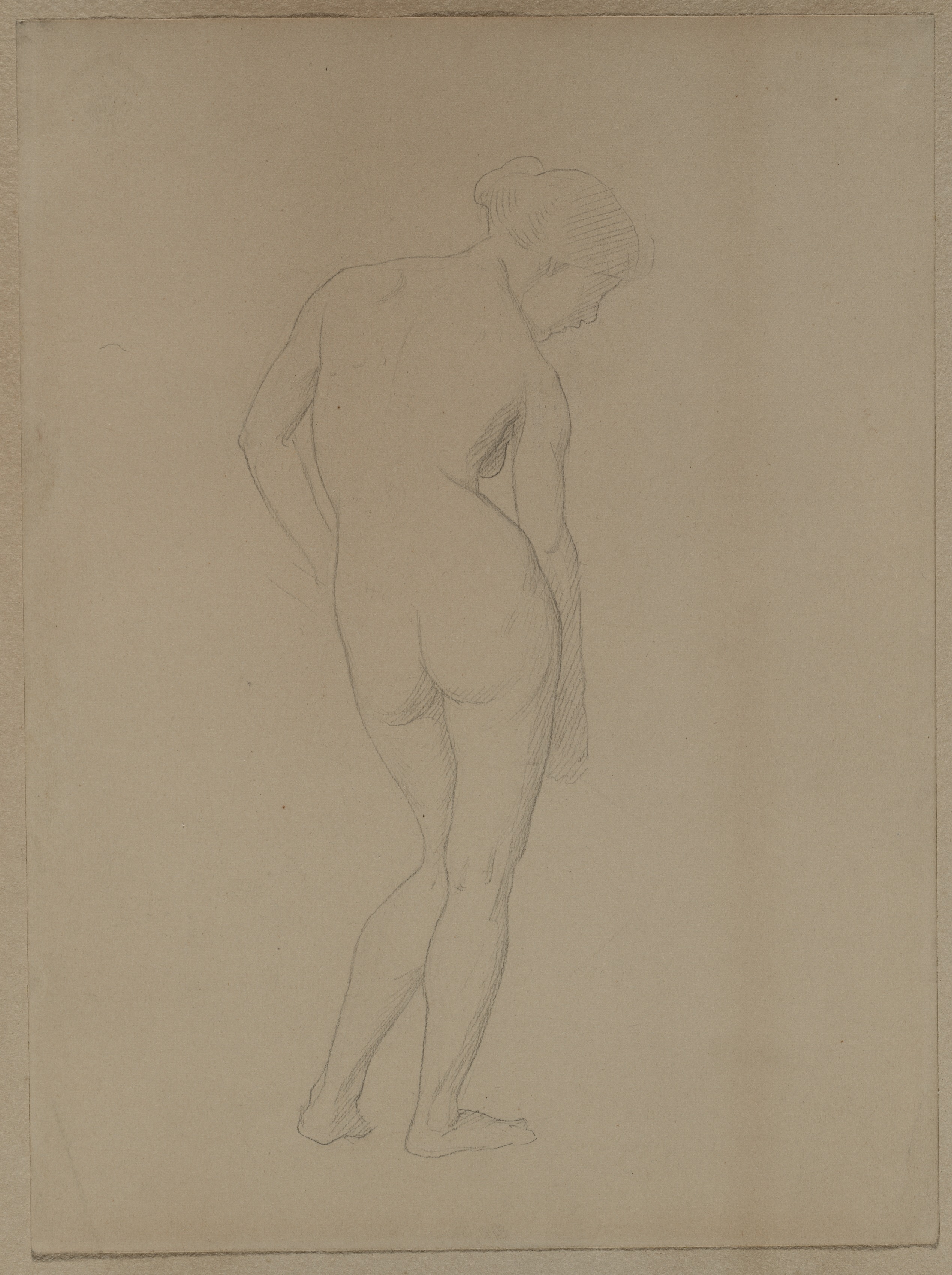 Female Nude Seen from the Rear