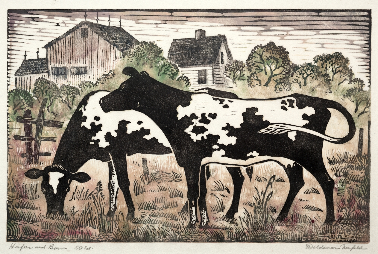 Heifers and Barn